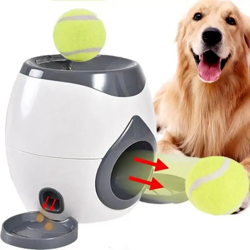 2 Balls Toy Training Dog