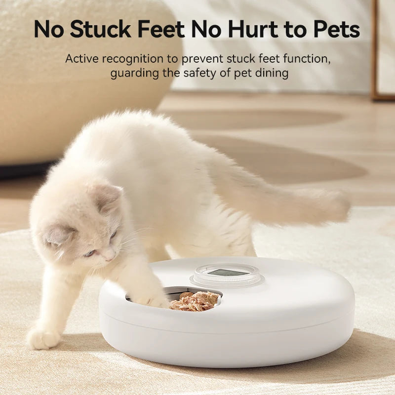 ROJECO 6 Meals Automatic Cat Feeder with 2 Ice Packs