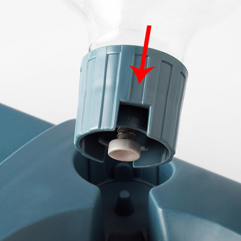 Pet Bowl And Drinking Fountain