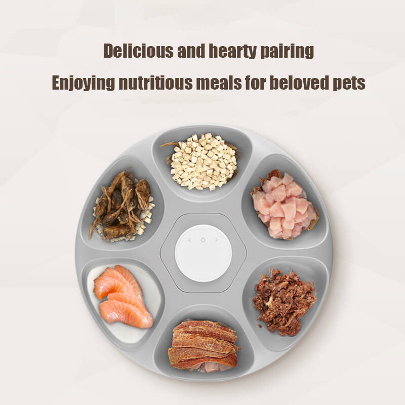 Automatic Pet Feeder - 6 Meals